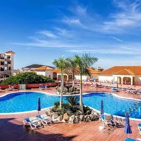 Dinastia D201 By Tenerife & Sales