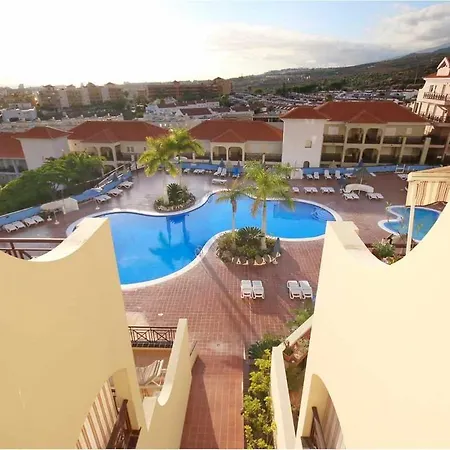 Dinastia D201 By Tenerife & Sales